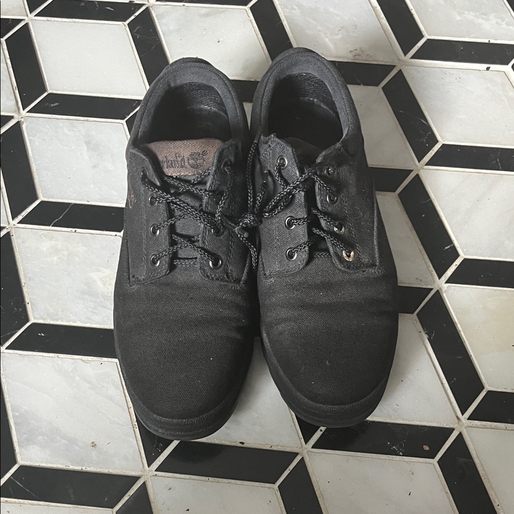 Timberland Black Canvas Men's Sneakers